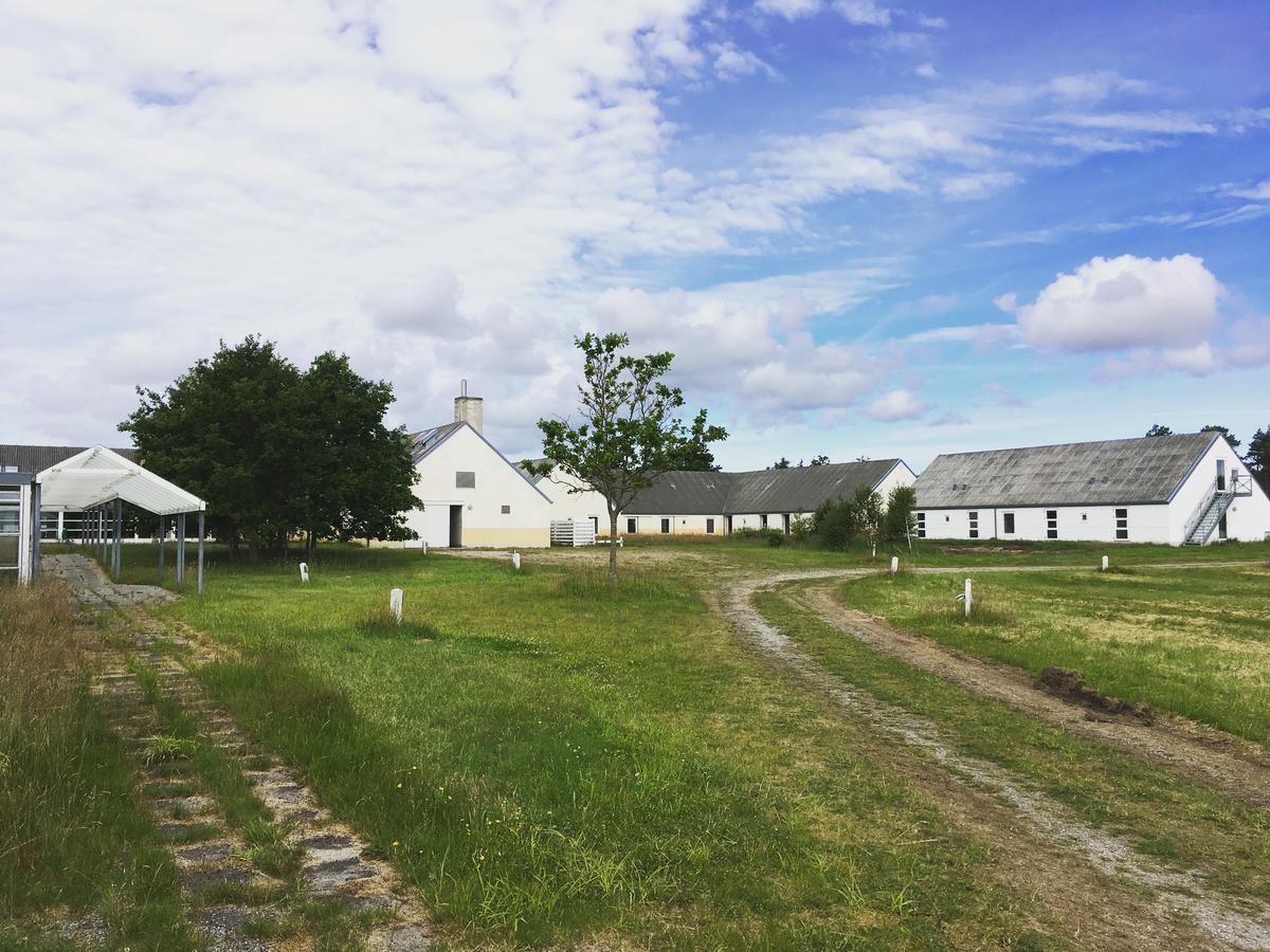 Hotel Hvideklit Ålbæk Exteriér fotografie